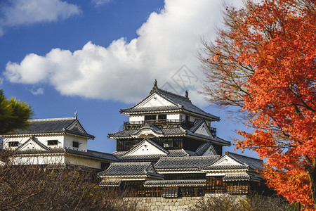 日本松山市的松山城图片