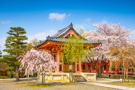 日本京都的神社春景图片