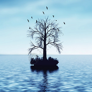 海岛剪影与水中的树图片
