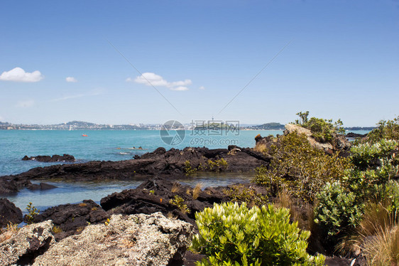 来自新西兰豪拉基湾兰吉托岛RangitotoIsla图片