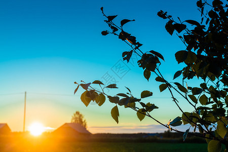 午夜的太阳和白桦树枝是芬兰仲夏的象征这张照片也包图片
