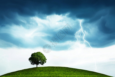 景观与风暴和树图片