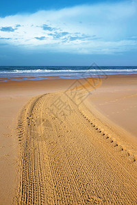 夏日清晨扫空荡海滩的拖拉机图片