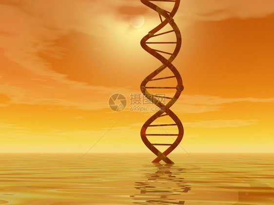 DNA景观图片