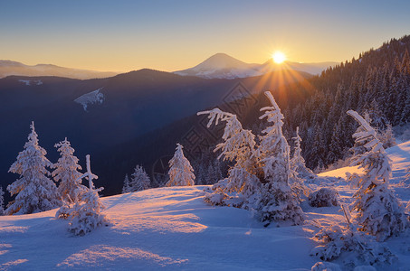 冬季风景山丘日出美丽的世界圣诞景象喀尔巴阡山脉图片
