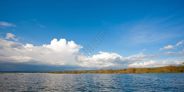 肯尼亚的奈瓦沙湖图片