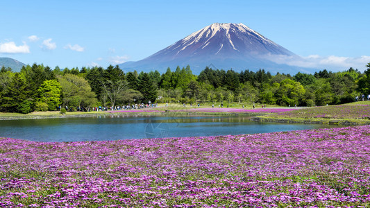 富士山下美丽的景色图片