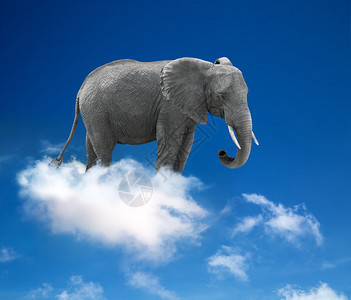 云中大象光图片