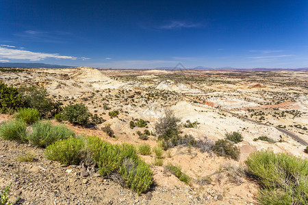 犹他州国会珊瑚礁公背景图片