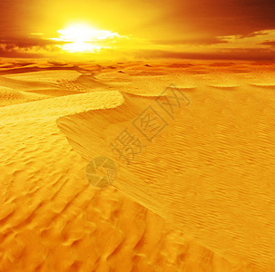 撒哈拉沙漠丘景观图片