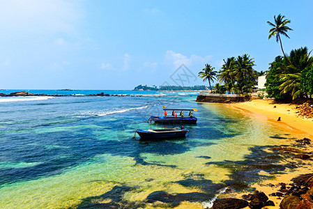 热带斯里兰卡的图片