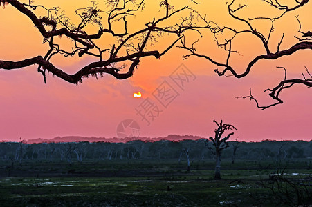 斯里兰卡亚拉公园图片
