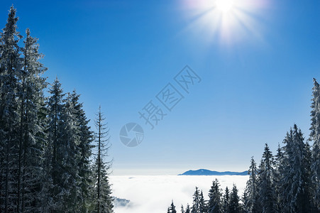 山峰被雪和云覆盖的山景图片