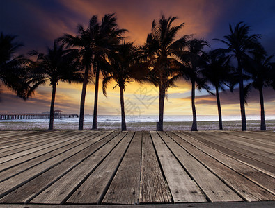 在海滨上用椰子树和美丽的黄天空为多用途自然背景使用的旧木板梯图片