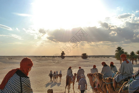骑骆驼游览撒哈拉沙漠背景图片