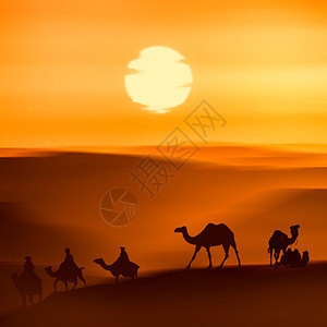 美丽的暮光景色沙漠中骆图片