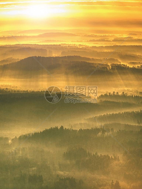 清晨阳光下福吉森林地貌图片