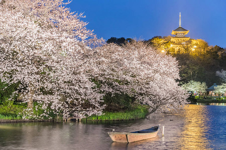 矢量日式樱花图片