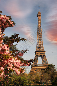 Eiffel铁塔春季图片