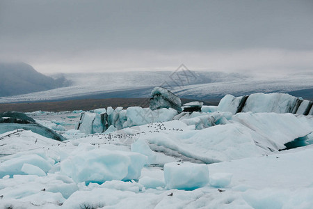 冰原上美丽的冰山冰川和图片
