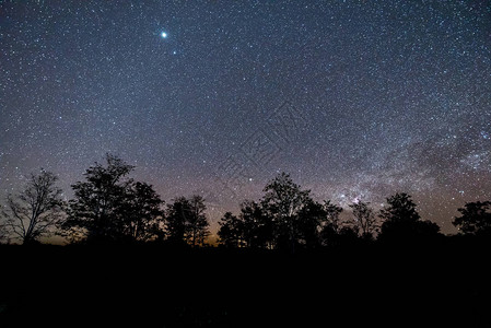 夜空与星和树图片