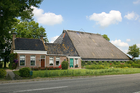 路边典型的荷兰农舍图片