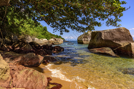 伊塔瓜乌伊尔哈格兰德安格拉杜斯赖等海滩的植被与海洋及其温暖而清澈的图片