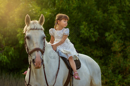 小女孩骑在一匹白马上图片