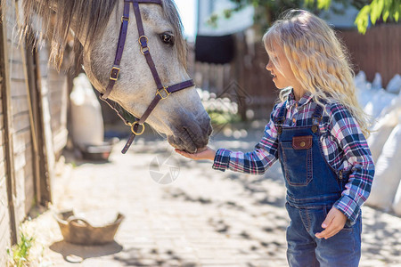 孩子在牧场喂马的侧视图图片