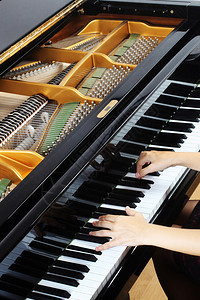 手放在键盘上的大钢琴钥匙钢琴和音图片