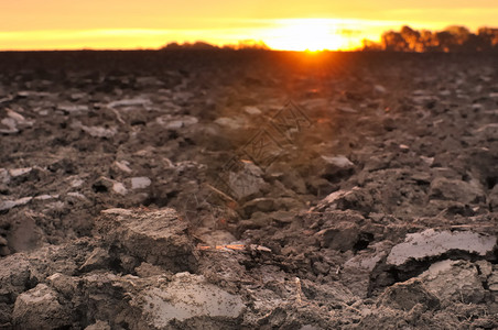 地表土面新变化的田地在黄昏时形图片