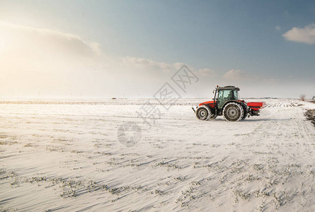 拖拉机播种的农民冬季在农田图片