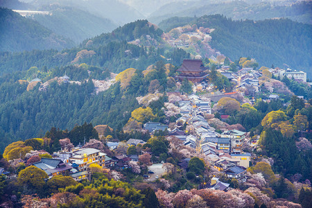 日本吉野山的景色图片