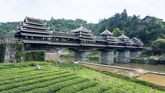 春季前往茶田和三江东自治县成阳风雨大桥丰宇永吉图片