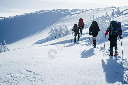 旅行者在深雪中攀登Gorgany山图片