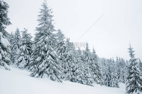 甘机山上的白雪覆图片