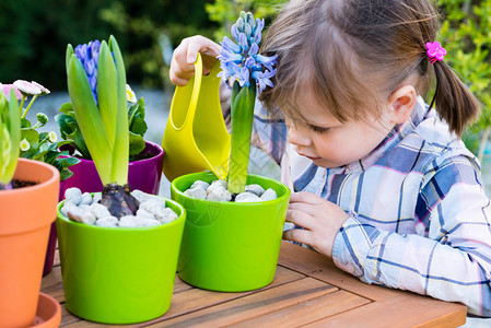 园艺种植概念幼小女孩在种植后浇灌图片