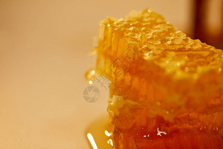 用蜂蜜近距离观察天然蜂蜡图片