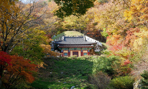 SeokguramGrotto的多彩秋叶SeokguramGrotto是韩国位于南韩庆州的背景图片