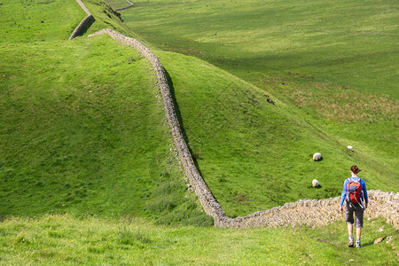 金山岭长城在联合王国英格兰东北诺森伯兰的Hadrians墙边行走背景