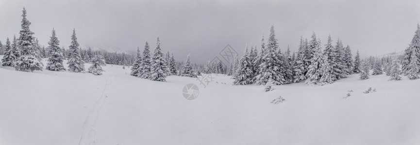 降雪后的冬季田野景观图片