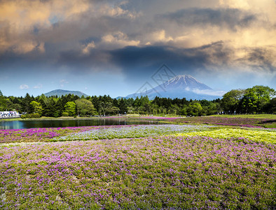 日本春季的景色图片