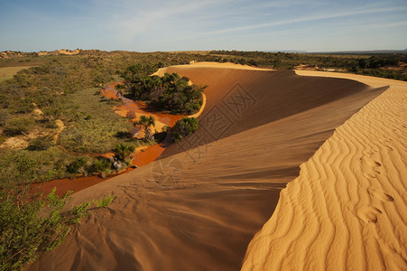 贾拉保公园红色沙丘背景图片