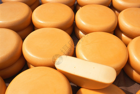 Gouda48奶酪在HollandAlkmaa图片