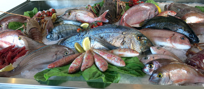 意大利南部海鲜餐厅冰箱里新鲜的大白鲷鱼图片