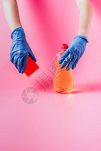 穿着橡胶手套手持清洗海绵和洗碗液粉红色背景的橡皮手图片
