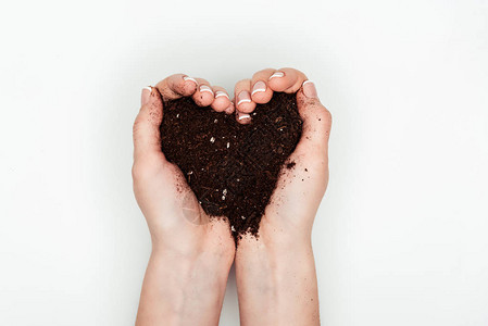 妇女将心脏塑造的土壤握在孤立于白日地球日概念的手图片