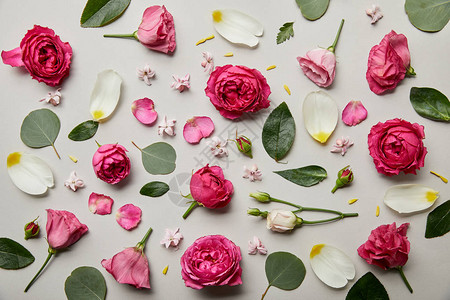 粉红玫瑰和白色的花瓣所制图片