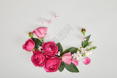 白色上方的粉红玫瑰组成的图片