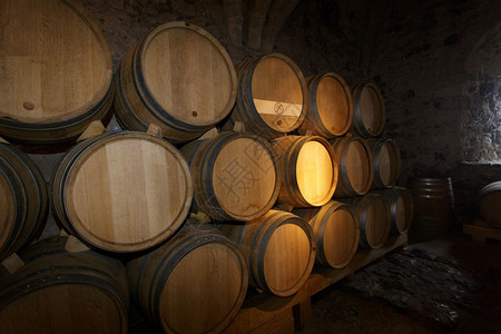葡萄酒窖地下酒窖中的欧洲葡萄酒桶背景